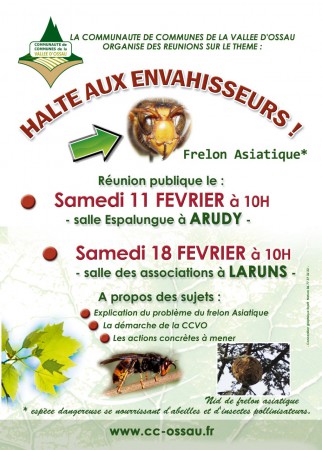 Affiche frelon asiatique-CCVO-