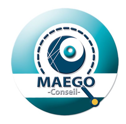 Logo pour entreprise de Conseil
